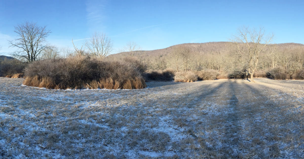Williamsport Water Authority with snow on the ground