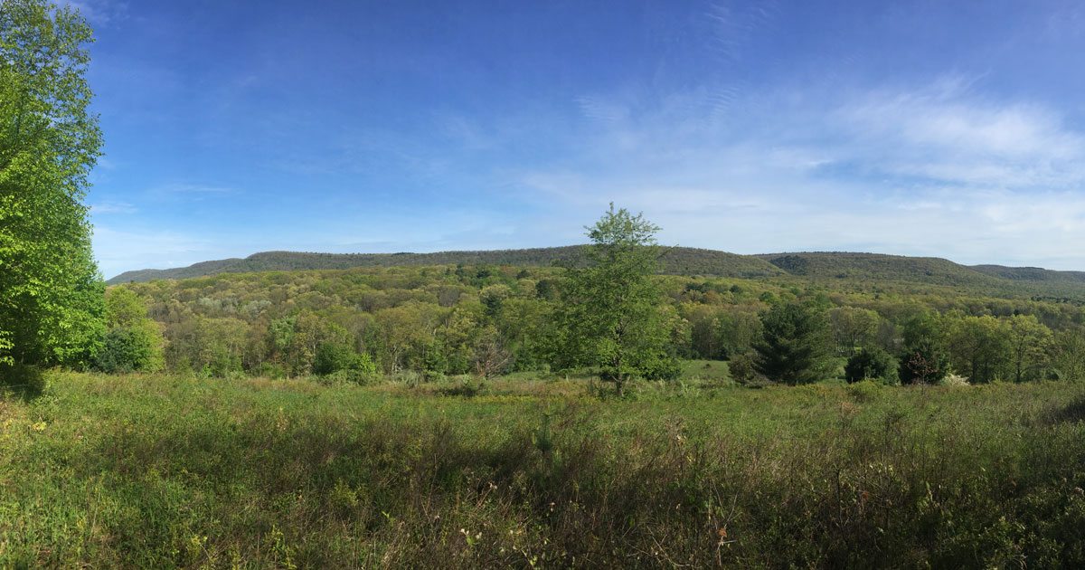 A view from the overlook at Glacier Pools Preserve