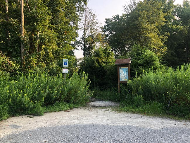 Bear Swamp Tower Parking at Bombay Hook NWR