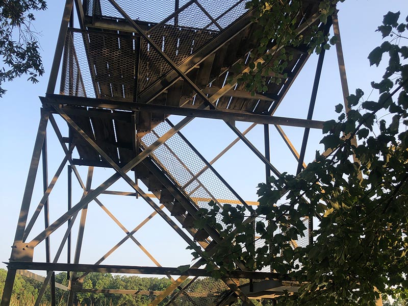 Bear Swamp Tower at Bombay Hook NWR