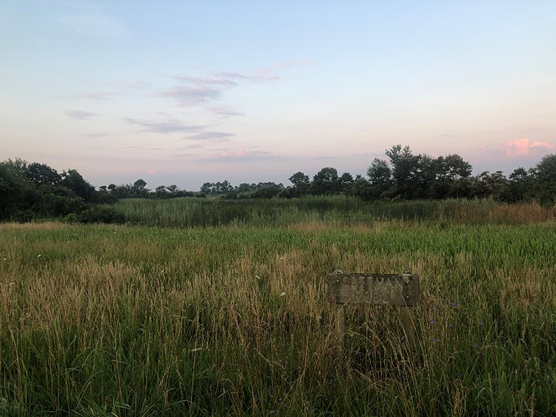 Cottman Pool at Bombay Hook NWR