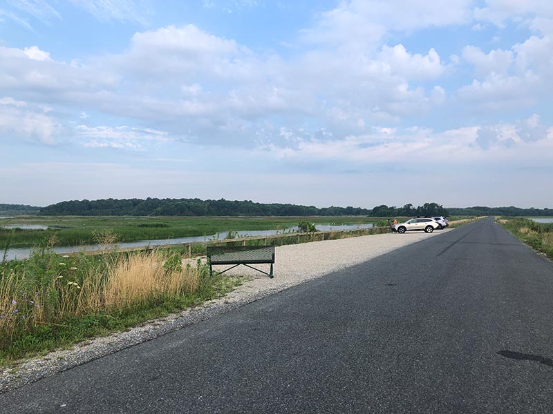 Daly Overlook at Bombay Hook NWR