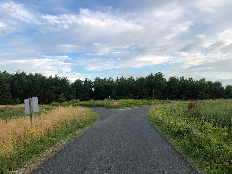Intersection with Shearness at Bombay Hook NWR