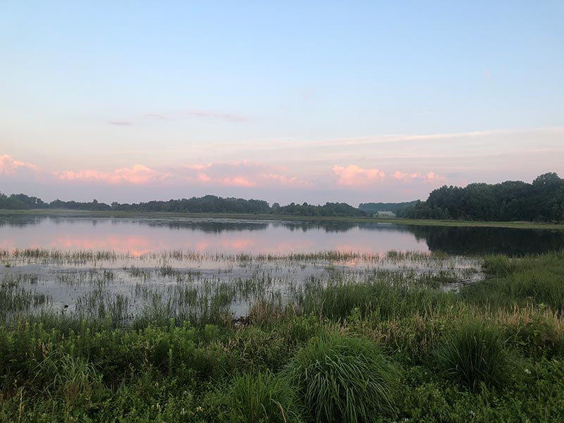 Raymond Pool at Bombay Hook NWR