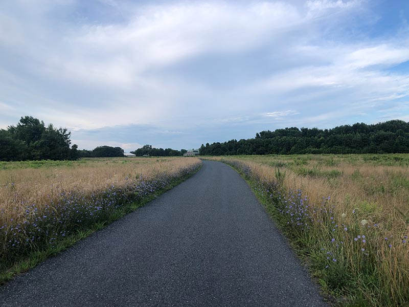 Return to Visitor Center at Bombay Hook NWR