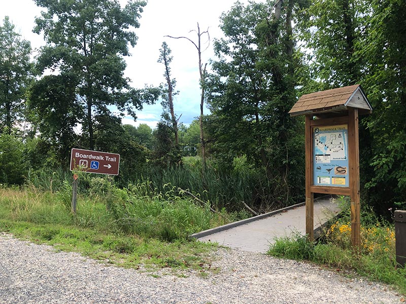 Saltmarsh Boardwalk Trail at Bombay Hook NWR