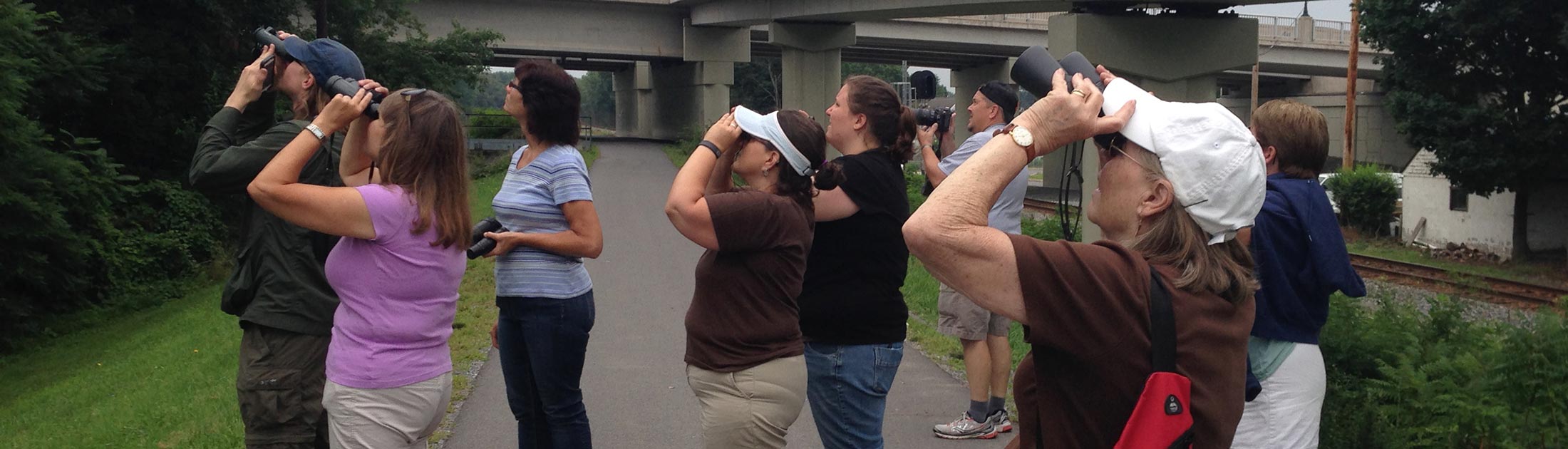 How to Lead a Successful Bird Walk: 15 Common Questions Answered