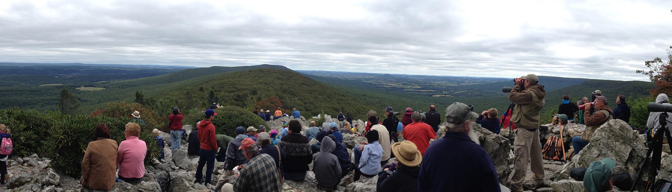 How to have a successful day of hawk watching
