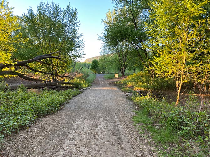 The bridge to get onto Canfield Island