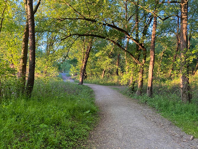 Entrance trail heading towards the island