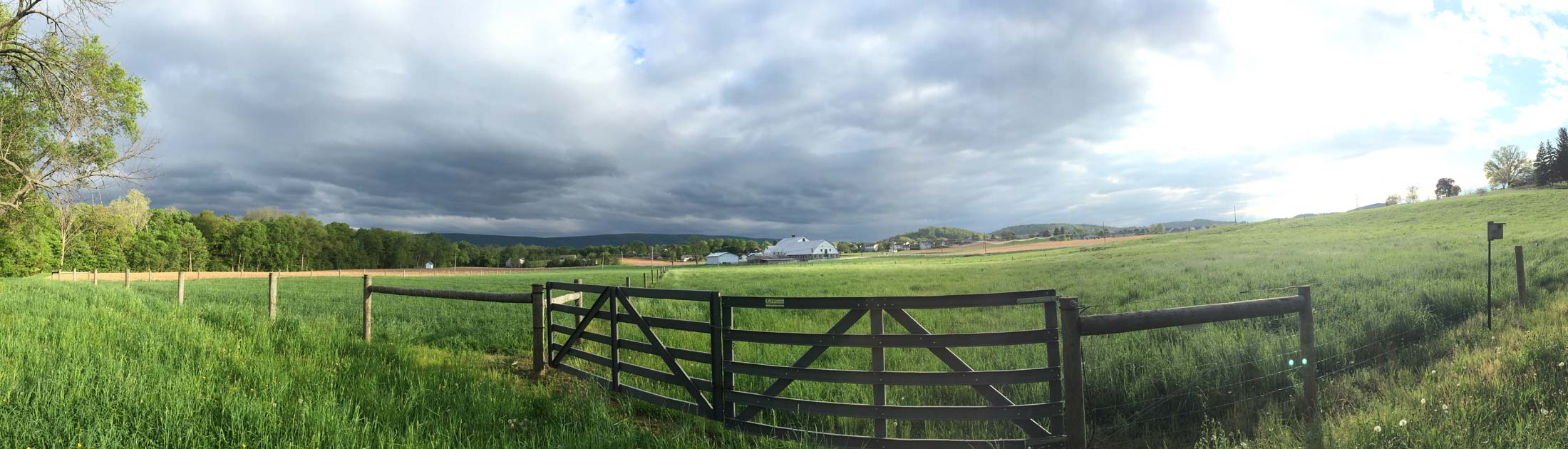 County Farm Conservation Trail