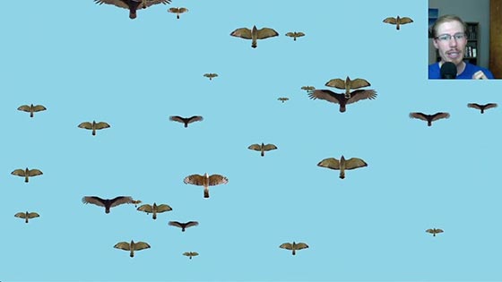 Hawk Watch Simulator Game Preview Videos thumbnail