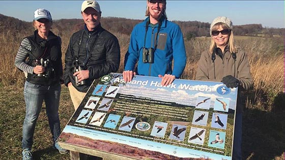 Responsibilities of a Hawk Watch Counter thumbnail