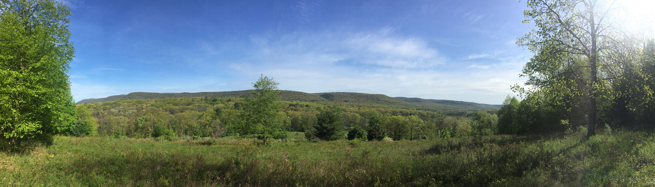 Seasonal Report - Spring 2017