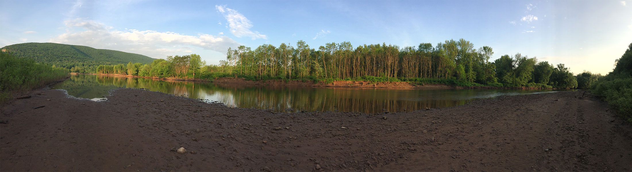 Seasonal Report - Spring 2019