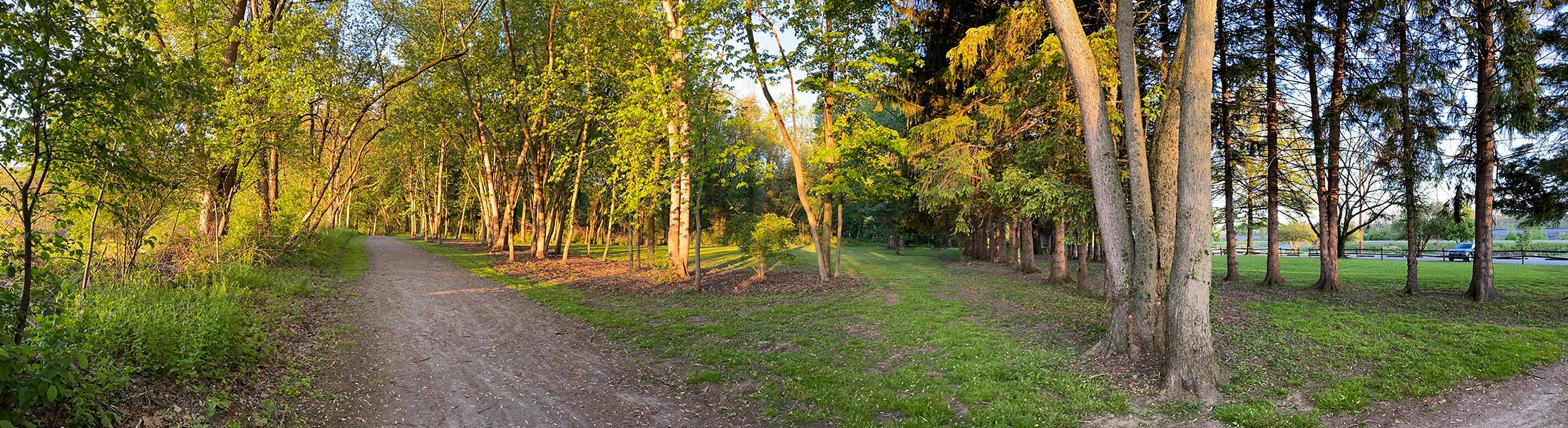 Seasonal Report - Spring 2020