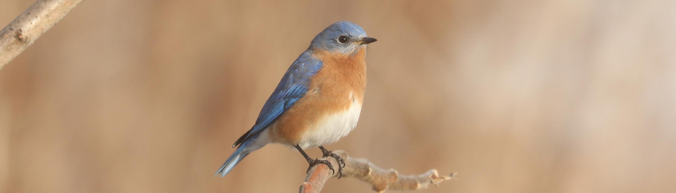 Seasonal Report - Winter 2021-22