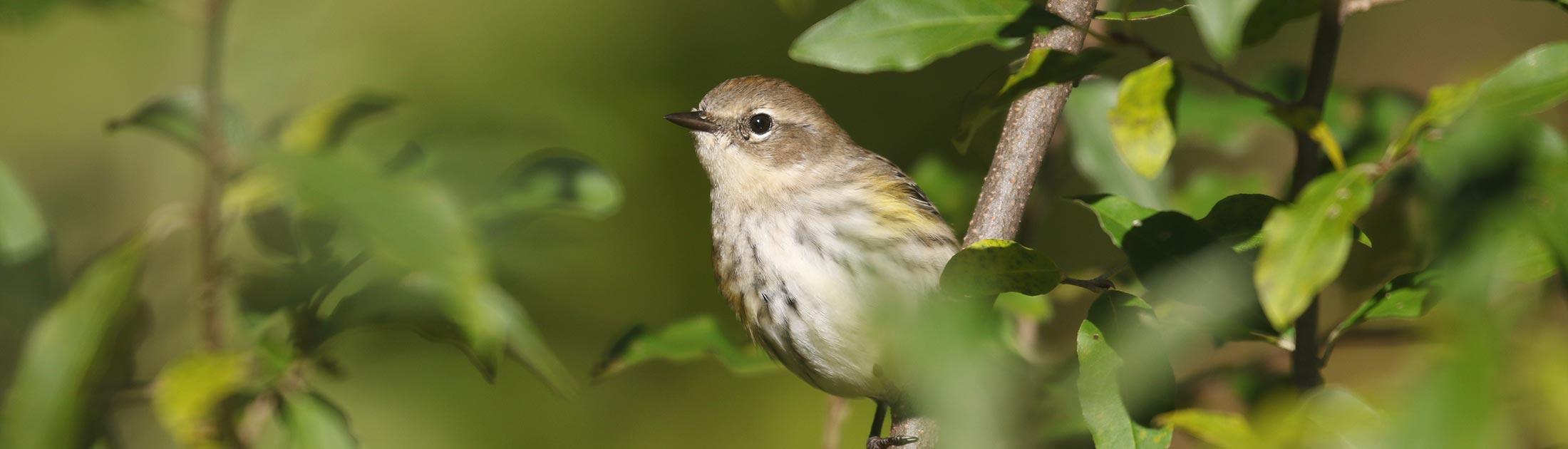 Seasonal Report - Fall 2021