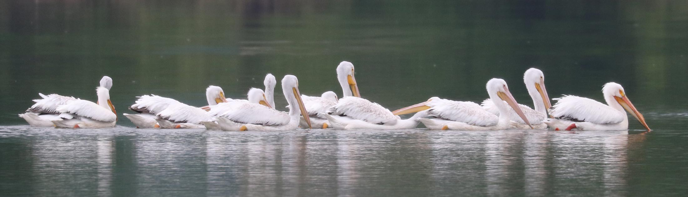 Seasonal Report - Spring 2022