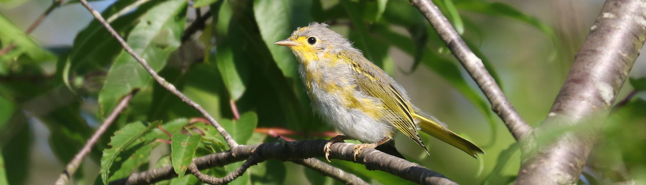 Seasonal Report - Summer 2022