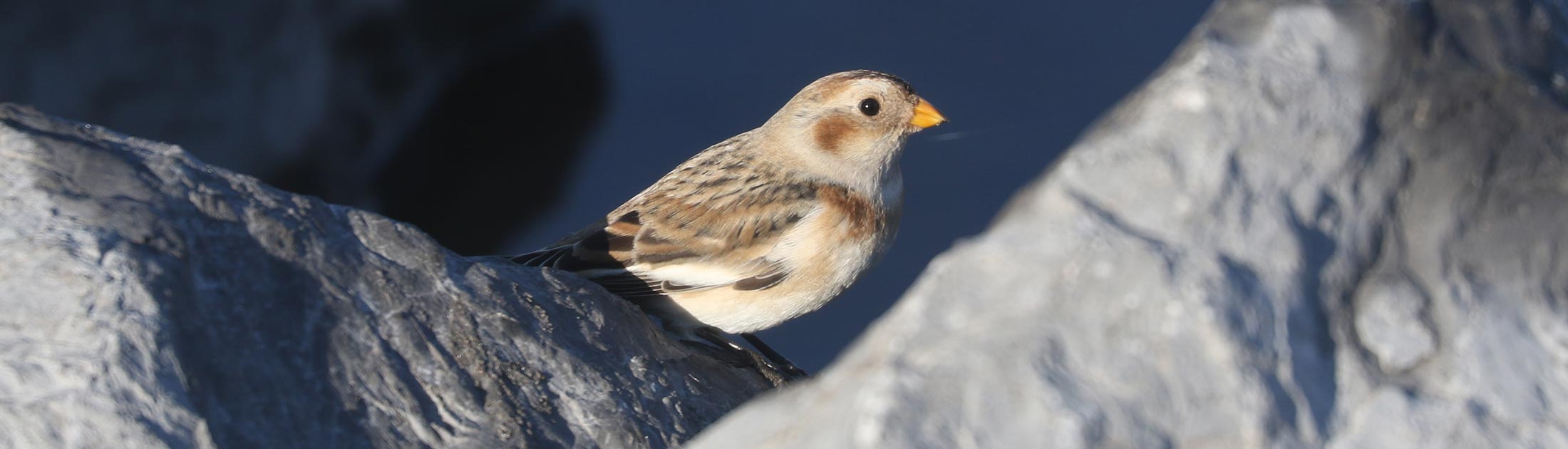 Seasonal Report - Fall 2023