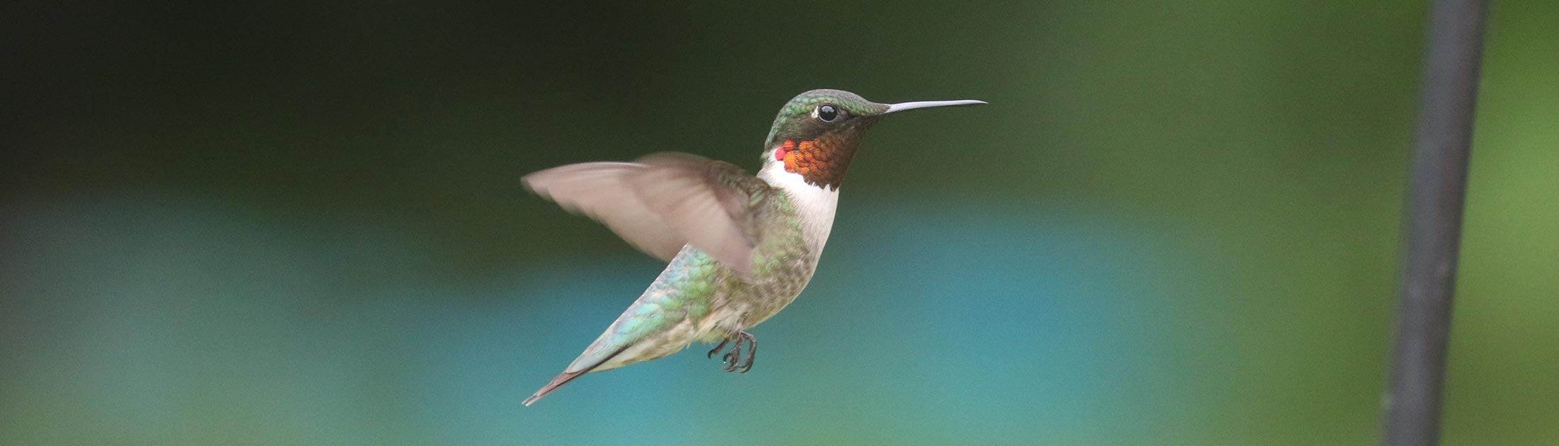 Seasonal Report - Summer 2023