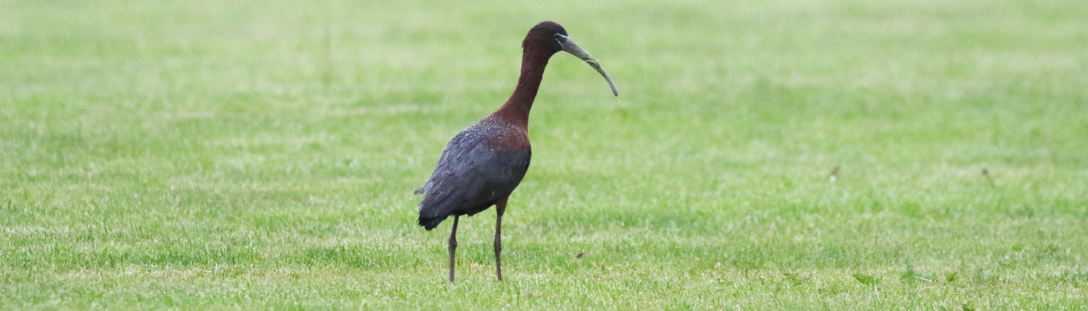 Seasonal Report - Spring 2025